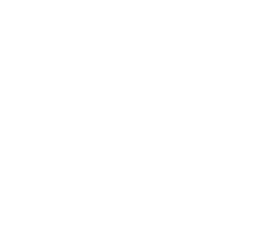BDF Warrior Project